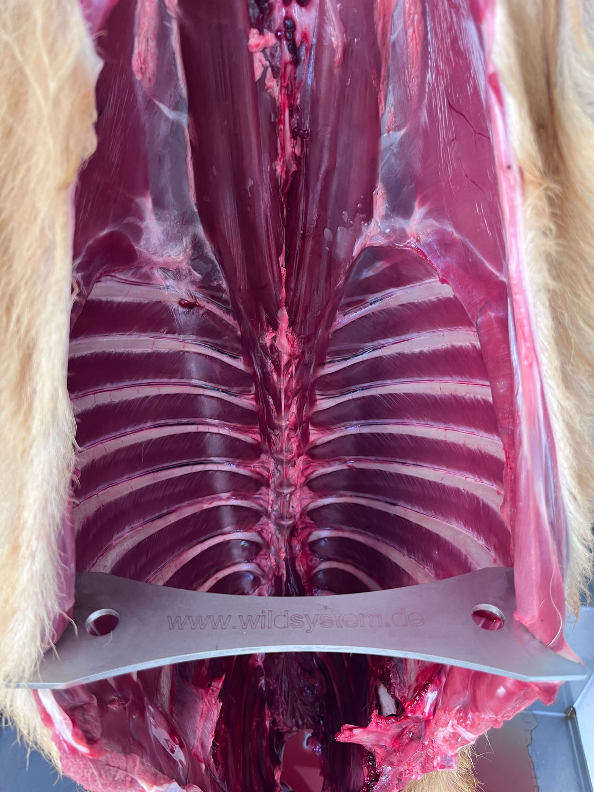 Wildkammer