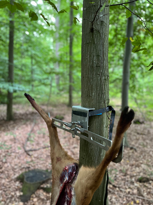 Halterung für WILDSYSTEM Frischling