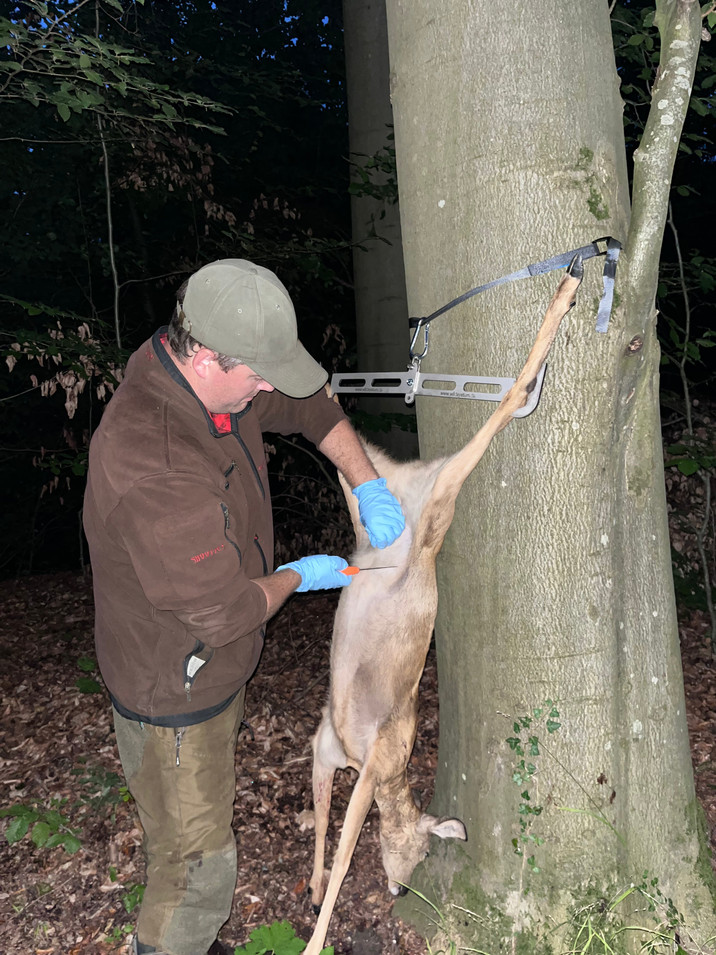WILDSYSTEM Frischling – Aufbrechgalgen aus Edelstahl, klappbar, bis 100 kg