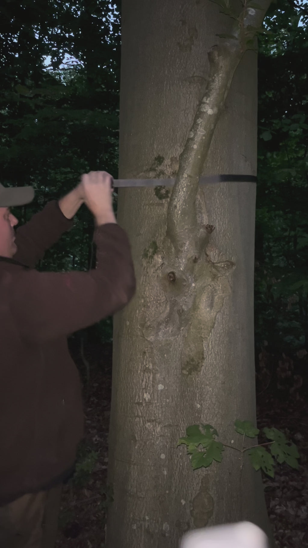 WILDSYSTEM Frischling – Aufbrechgalgen aus Edelstahl, klappbar, bis 100 kg
